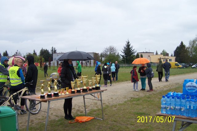 wstane 13
